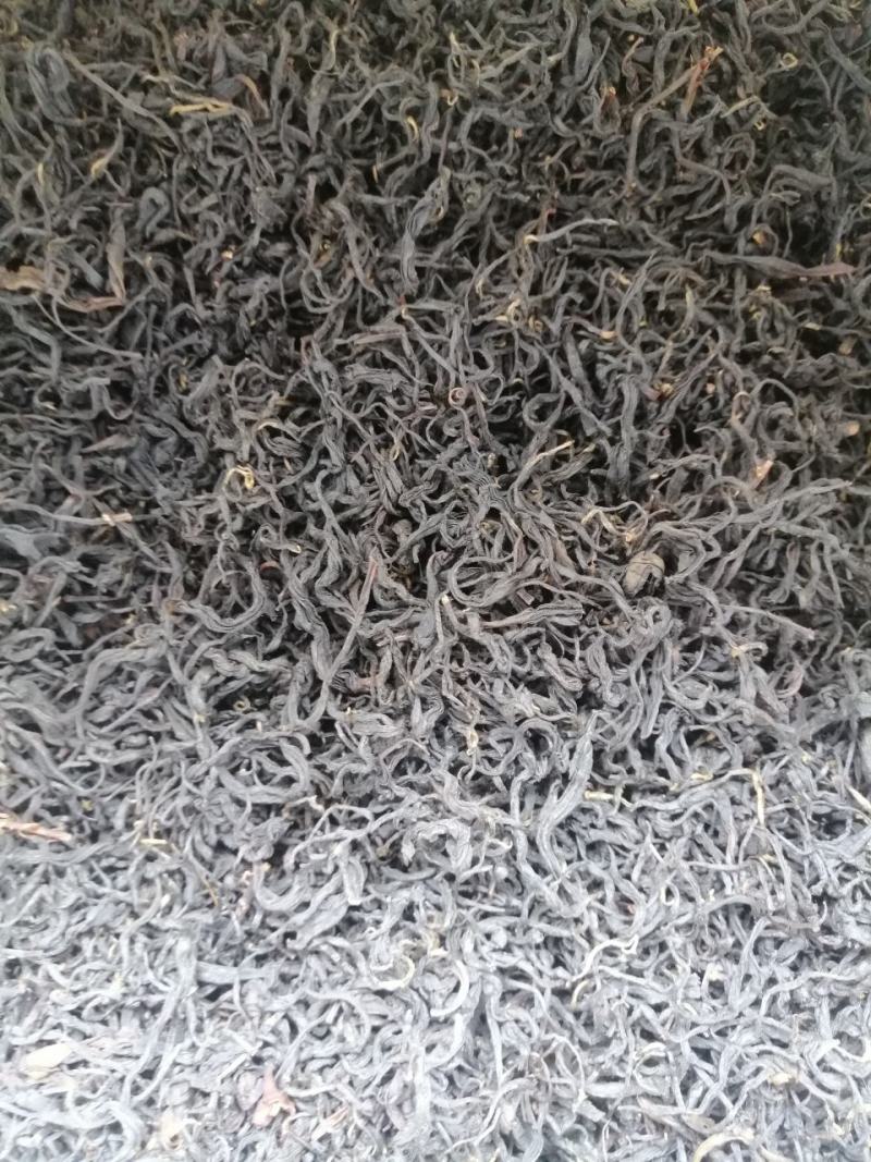 原始森林里的紫色茶