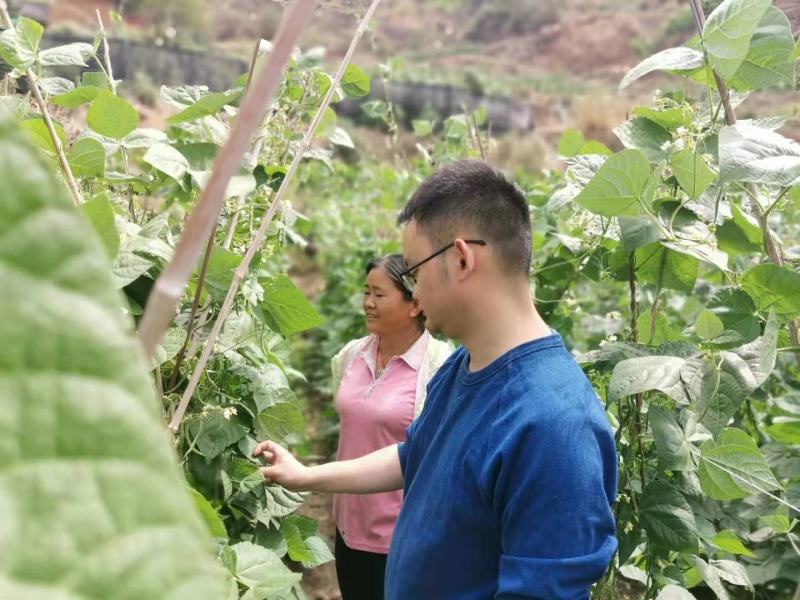 大量元素水溶肥平衡型作物中前期养根肥料工厂直供无中间