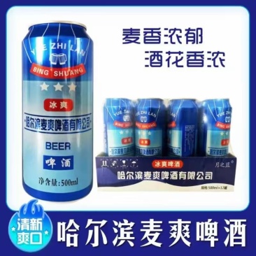 哈尔滨麦纯500/12罐，口感醇厚细腻，厂家直销价格美丽