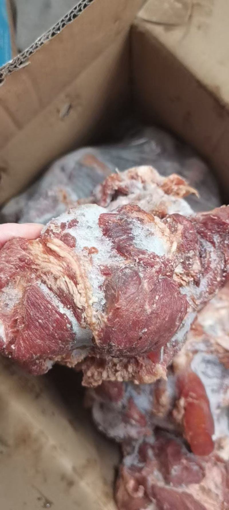 卤牛肉腱子肉五香条子肉跑江湖地摊非牛肉腱子肉8成熟冷冻
