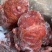 卤牛肉腱子肉五香条子肉跑江湖地摊非牛肉腱子肉8成熟冷冻