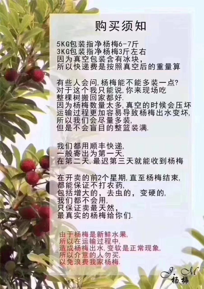 仙居杨梅，东魁杨梅，乒乓杨梅，产地直发，无中间商