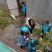 澳洲宝石鲈鱼苗宝石斑鱼苗热带鲈鱼无小刺.技术指导收购