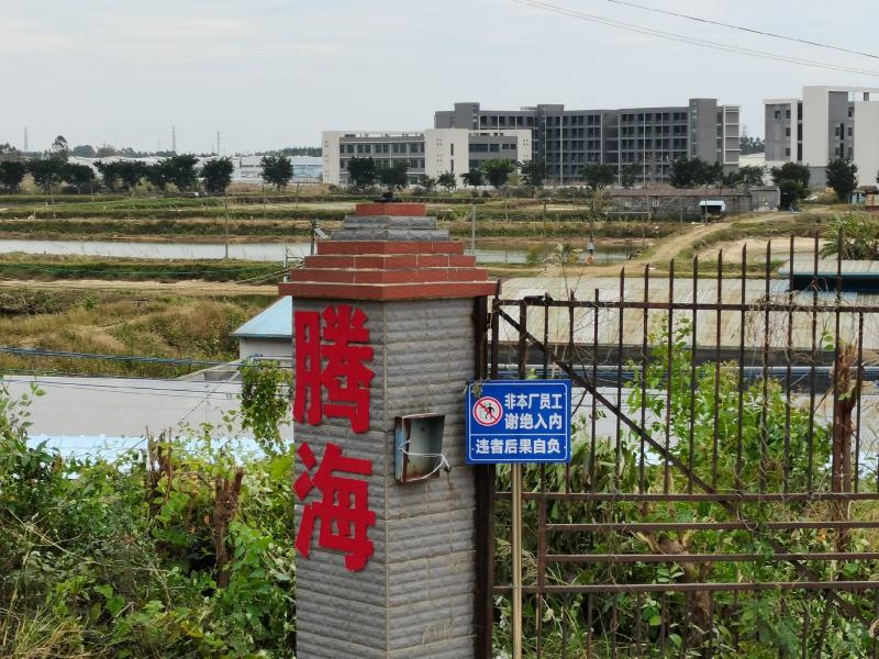 澳洲宝石鲈鱼苗宝石斑鱼苗热带鲈鱼无小刺.技术指导收购