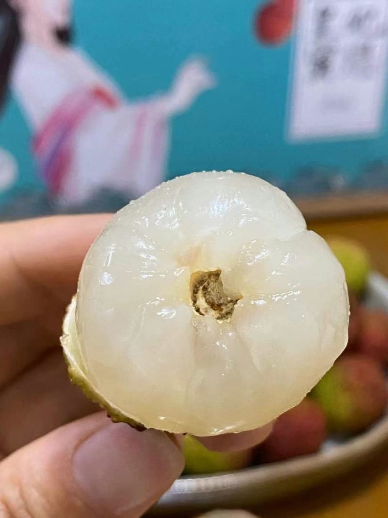 荔枝广西荔枝大量上市欢迎老板前来包果园，质量好价格低