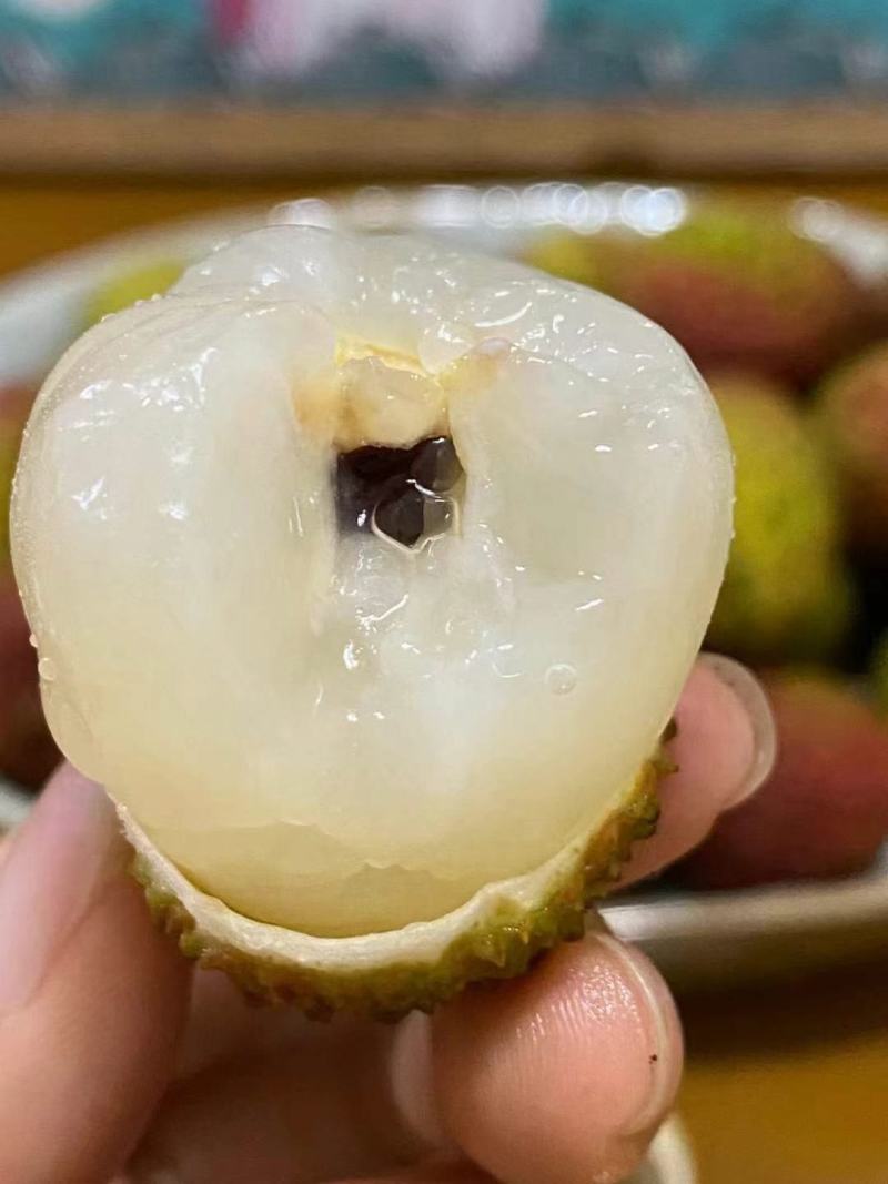 荔枝广西荔枝大量上市欢迎老板前来包果园，质量好价格低