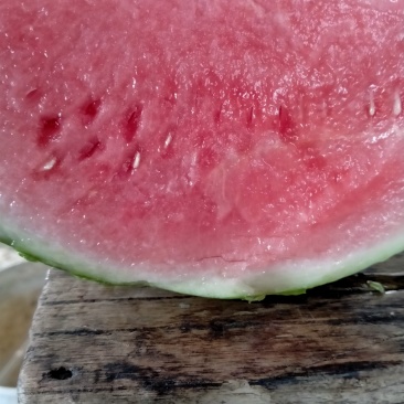 西瓜