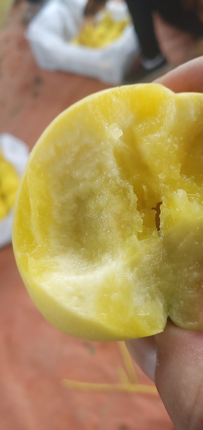 黄金密，黄桃