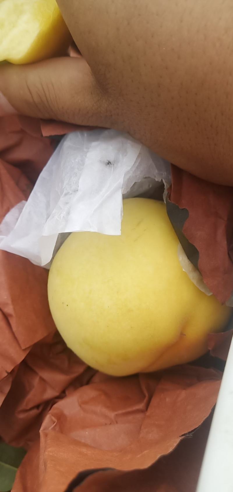 黄金密，黄桃