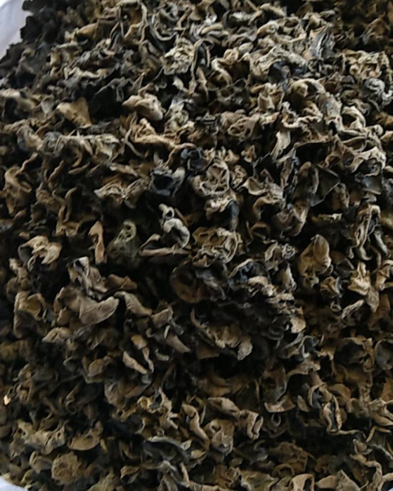 东北新云耳云耳云耳云耳云耳云耳云耳