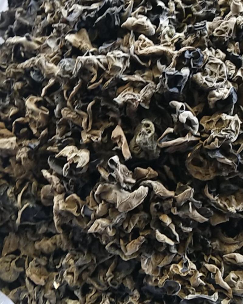 东北新云耳云耳云耳云耳云耳云耳云耳
