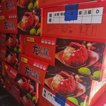 龙虾尾特级带冰整箱9斤批发