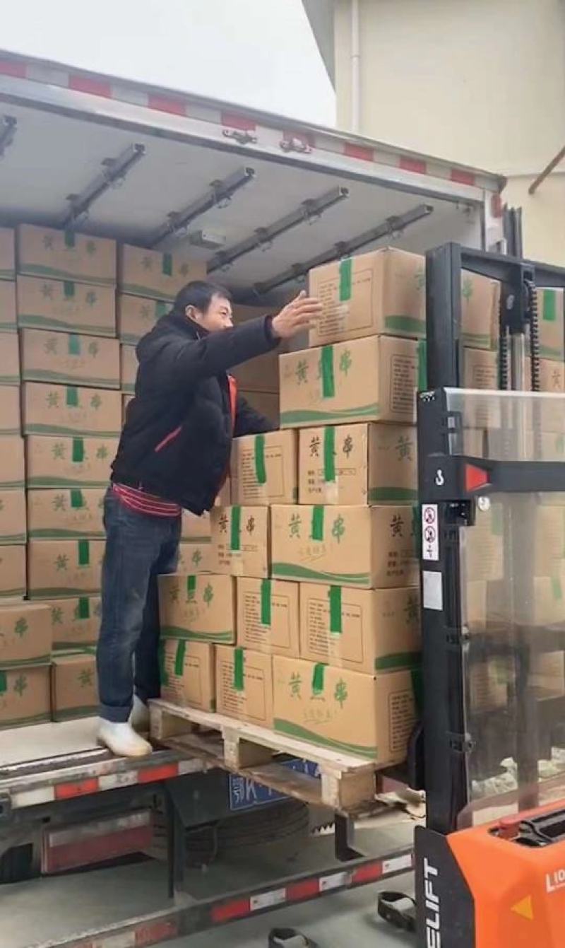 夜猫子小黄鱼全国批发零售