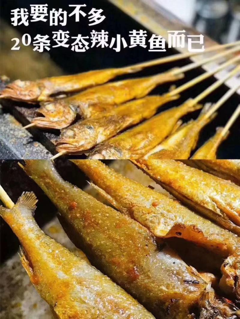 夜猫子小黄鱼全国批发零售