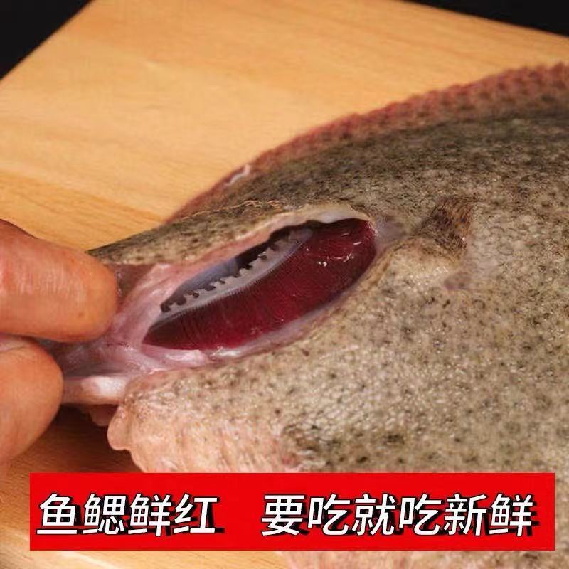 多宝鱼连云港产地直销货源充足，质量保证，冰鲜鱼质好。