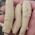 500g西洋参整枝粒头礼盒长白山花旗参段正品特级切片含片