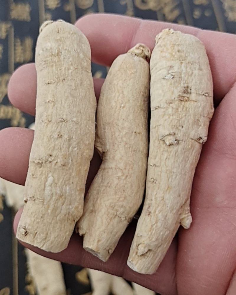 500g西洋参整枝粒头礼盒长白山花旗参段正品特级切片含片