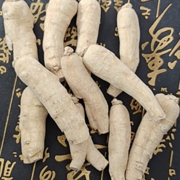 500g西洋参整枝粒头礼盒长白山花旗参段正品特级切片含片
