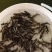 胭脂鱼苗…诚信经营，合作共赢，是本合作社的经营理念