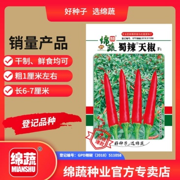 蜀辣天椒/辣椒种子/朝天椒种子/蔬菜种子/绵蔬种业