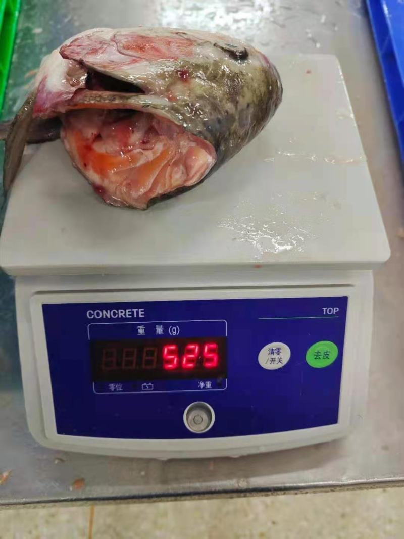 残鱿鱼花，价格超低，快餐，食堂可用