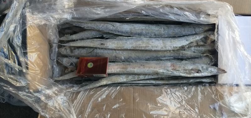 残鱿鱼花，价格超低，快餐，食堂可用