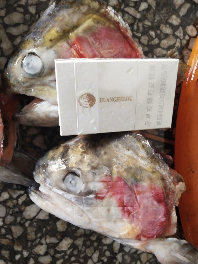 残鱿鱼花，价格超低，快餐，食堂可用