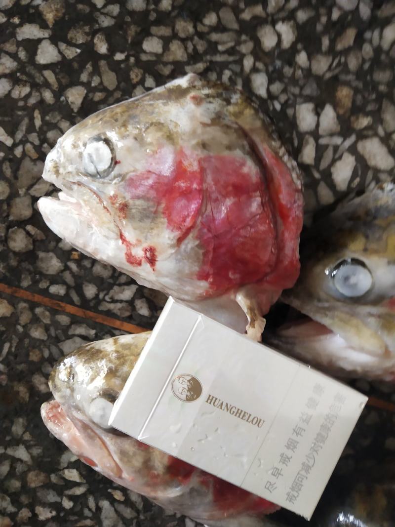 残鱿鱼花，价格超低，快餐，食堂可用