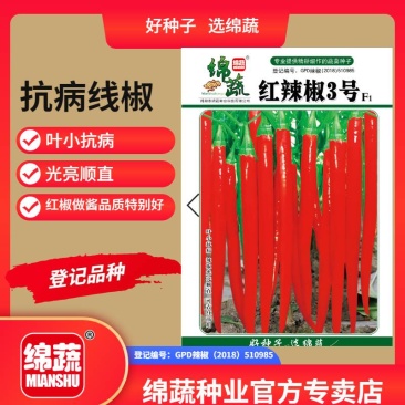 红辣椒3号/辣椒种子/蔬菜种子/绵蔬种业