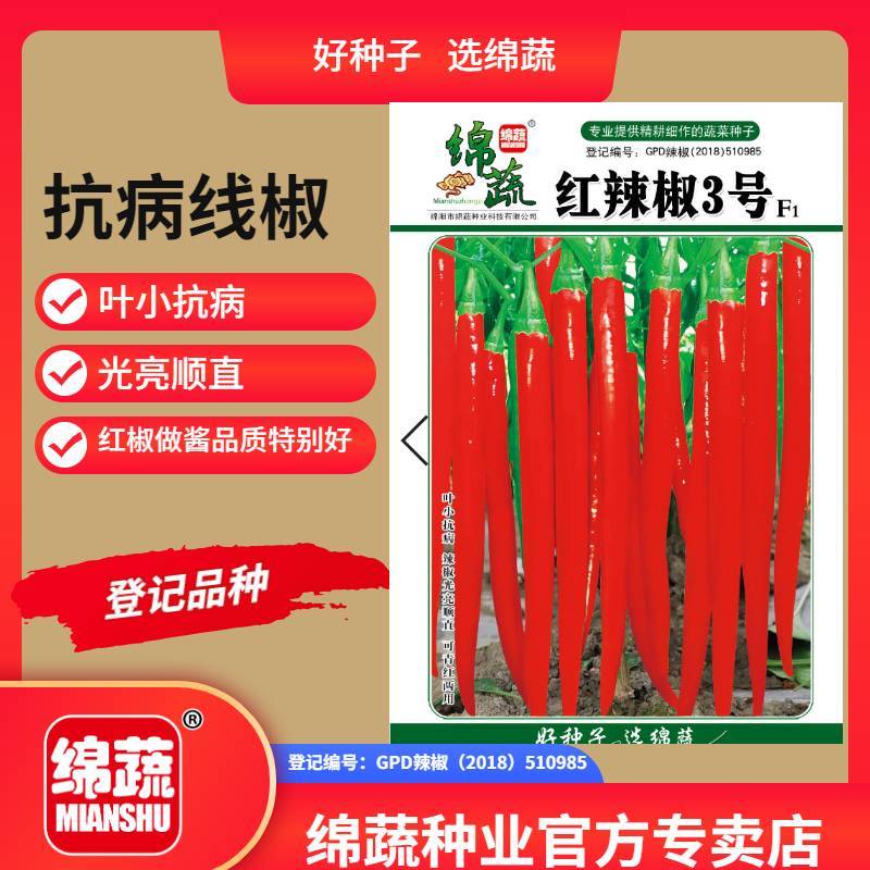 红辣椒3号/辣椒种子/蔬菜种子/绵蔬种业