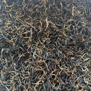 英红九号英德红茶功夫茶大量夏茶上市物美价廉