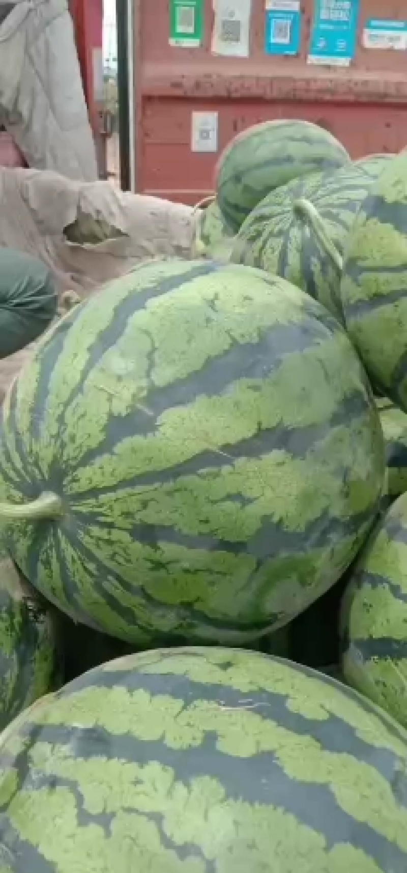 甜王西瓜
