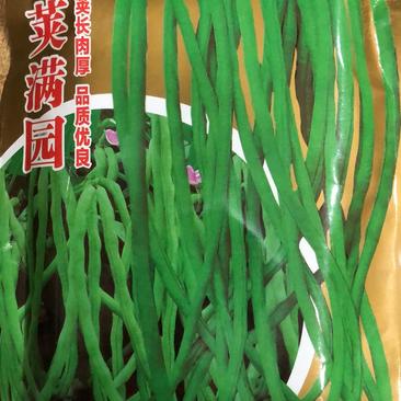 河南黑粒无架豆角种子新品种豇豆种子肉质肥厚荚长粗细均匀高产