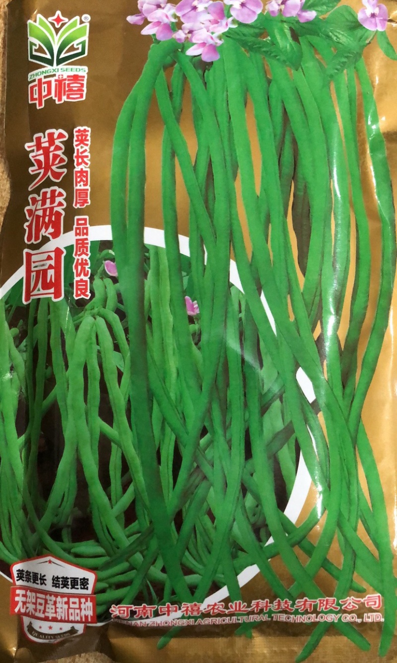 河南黑粒无架豆角种子新品种豇豆种子肉质肥厚荚长粗细均匀高产