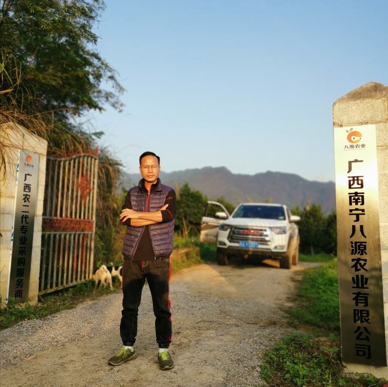 红心火龙果广西规格果供应实力代办全国整车代发
