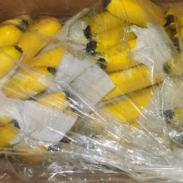 海南纯三把不受寒香蕉果面干净