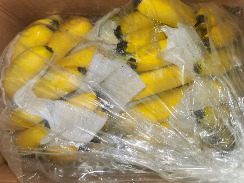 海南纯三把不受寒香蕉果面干净