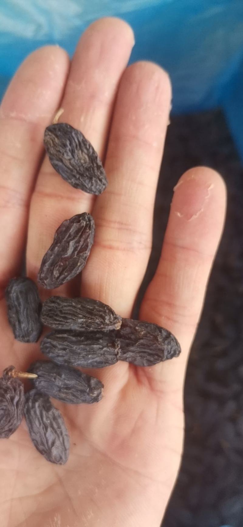 《包邮》进口黑加仑葡萄干