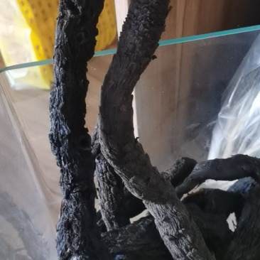 肉苁蓉保证质量产地直销