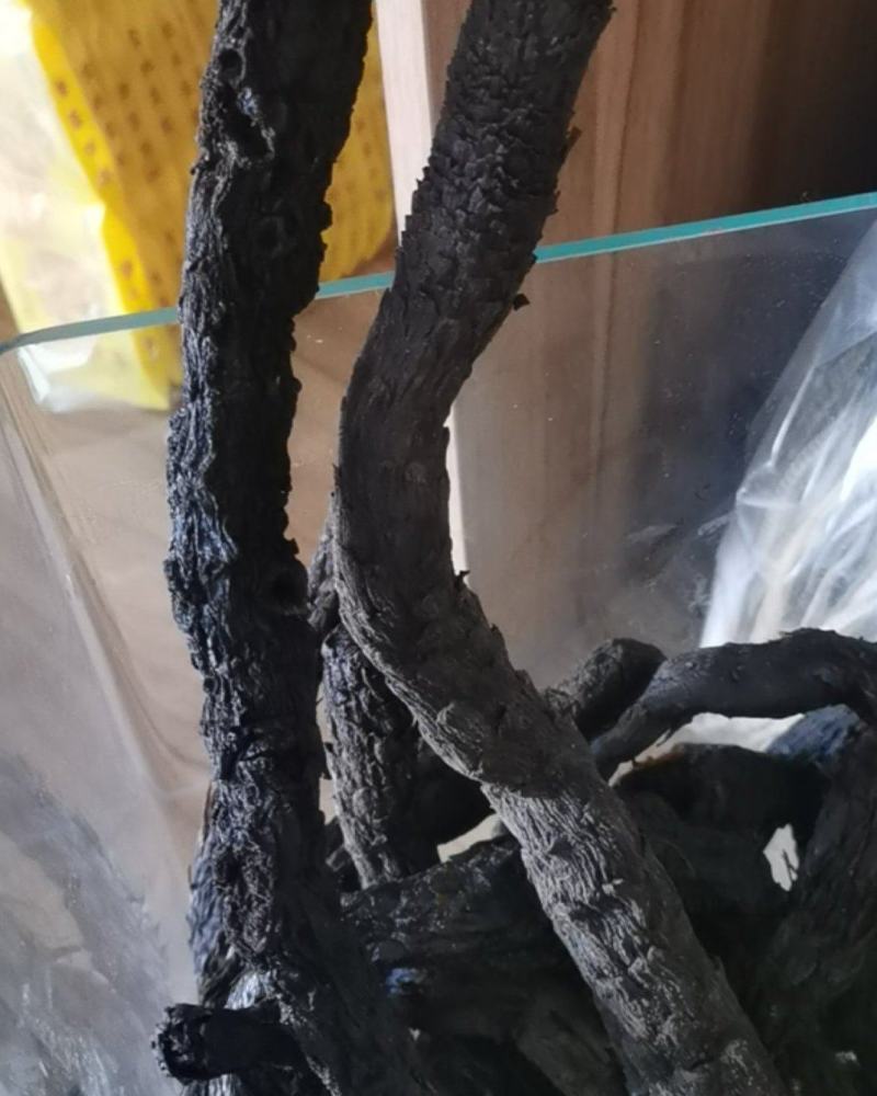 肉苁蓉保证质量产地直销