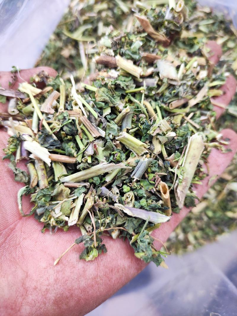 点滴园猫眼草泽七