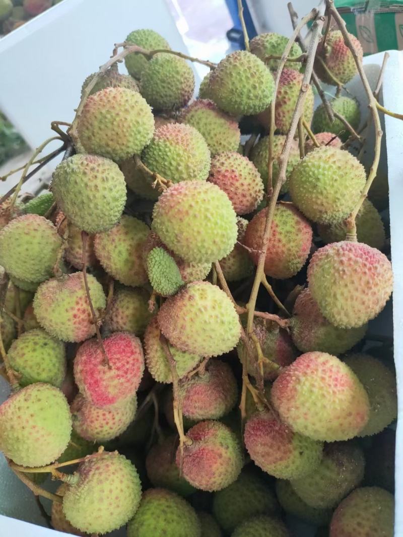 荔枝