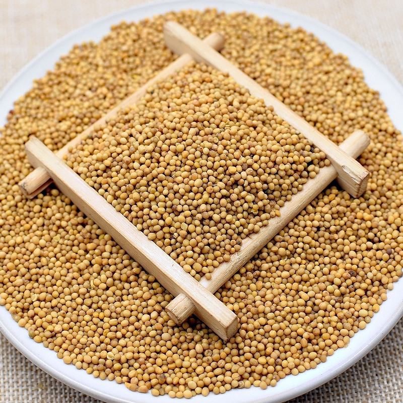 芥末籽五斤包邮免费磨粉凉拌菜芥末子籽黄芥末粒食用芥末凉菜