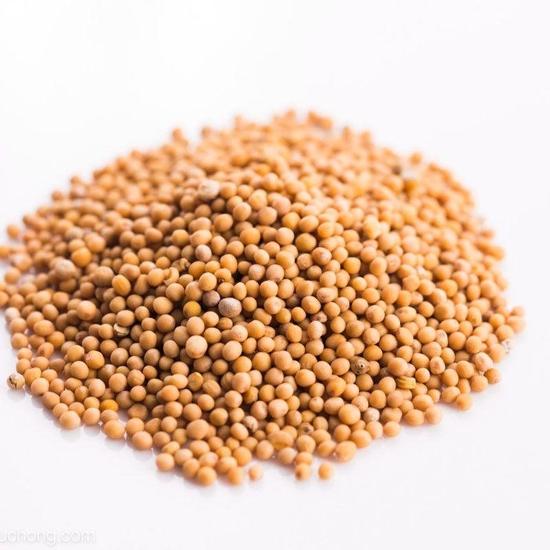 芥末籽五斤包邮免费磨粉凉拌菜芥末子籽黄芥末粒食用芥末凉菜