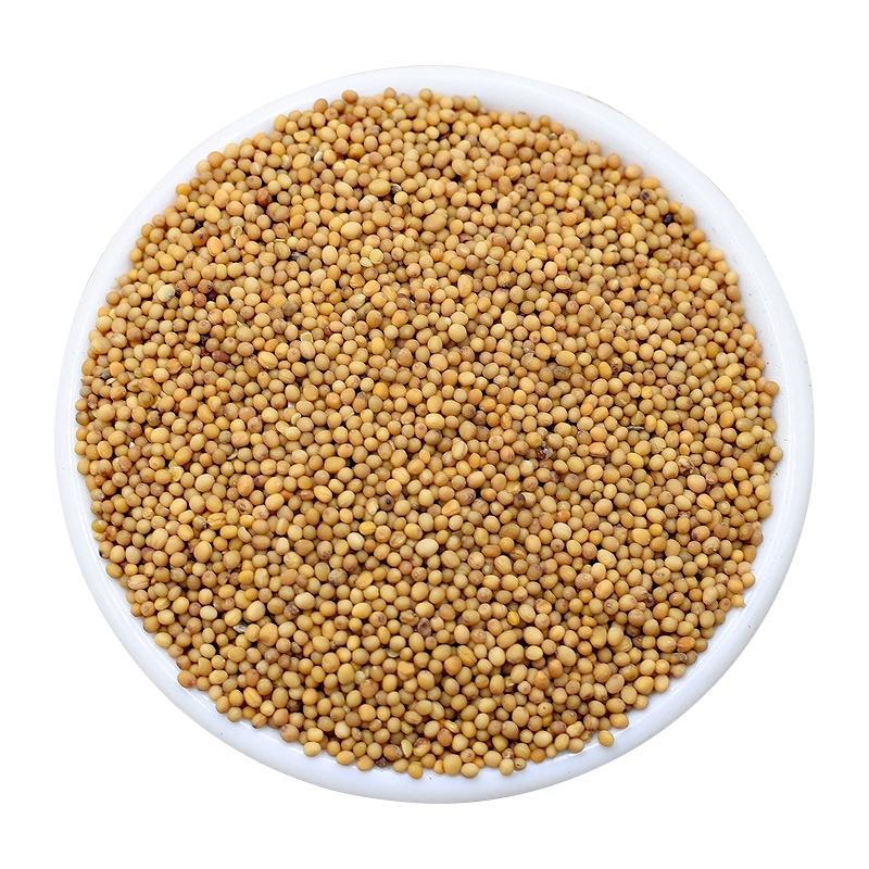 芥末籽五斤包邮免费磨粉凉拌菜芥末子籽黄芥末粒食用芥末凉菜