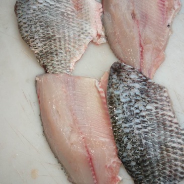 长期批发供应散冻每片3-5两罗非纯鱼肉片