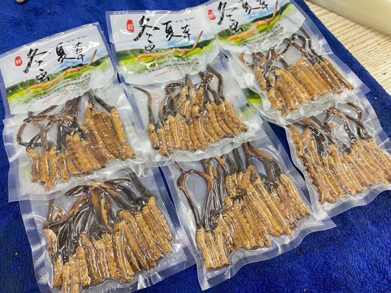 虫草