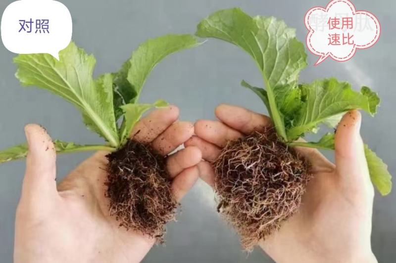 大量元素水溶肥高氮壮根提苗生长前期肥料工厂直供量大从优