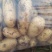 中暑5号荷兰土豆黄皮黄心中暑五号