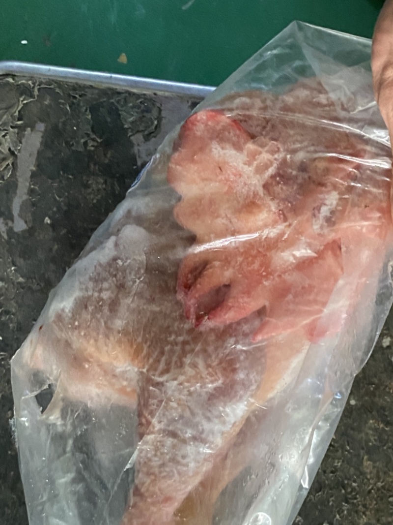 老公鸡、土鸡，价格合适，晚了拍大腿